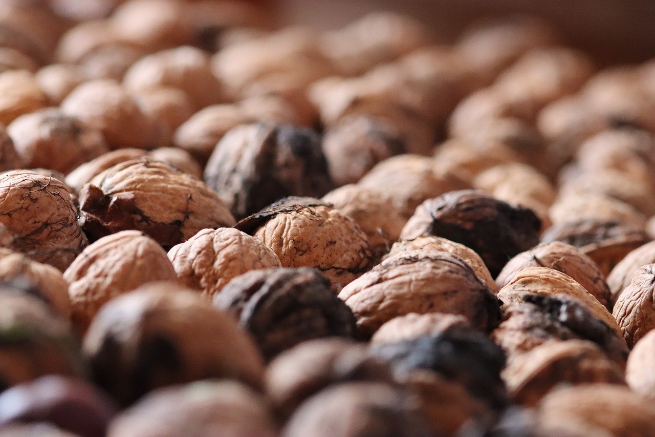 恩佐2充值平台代理跑路