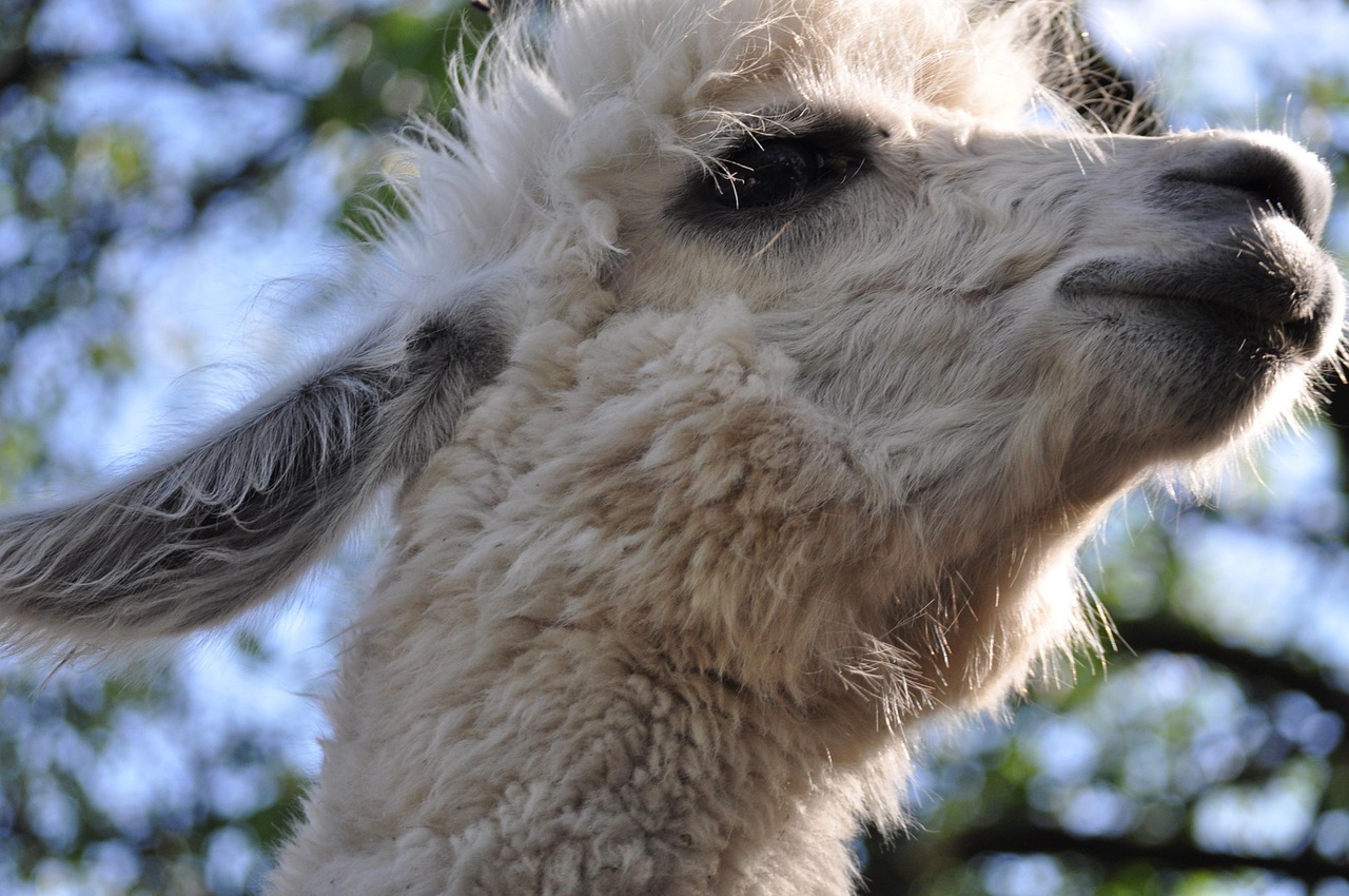 镇魔曲手游:第一书记app详情下载教程