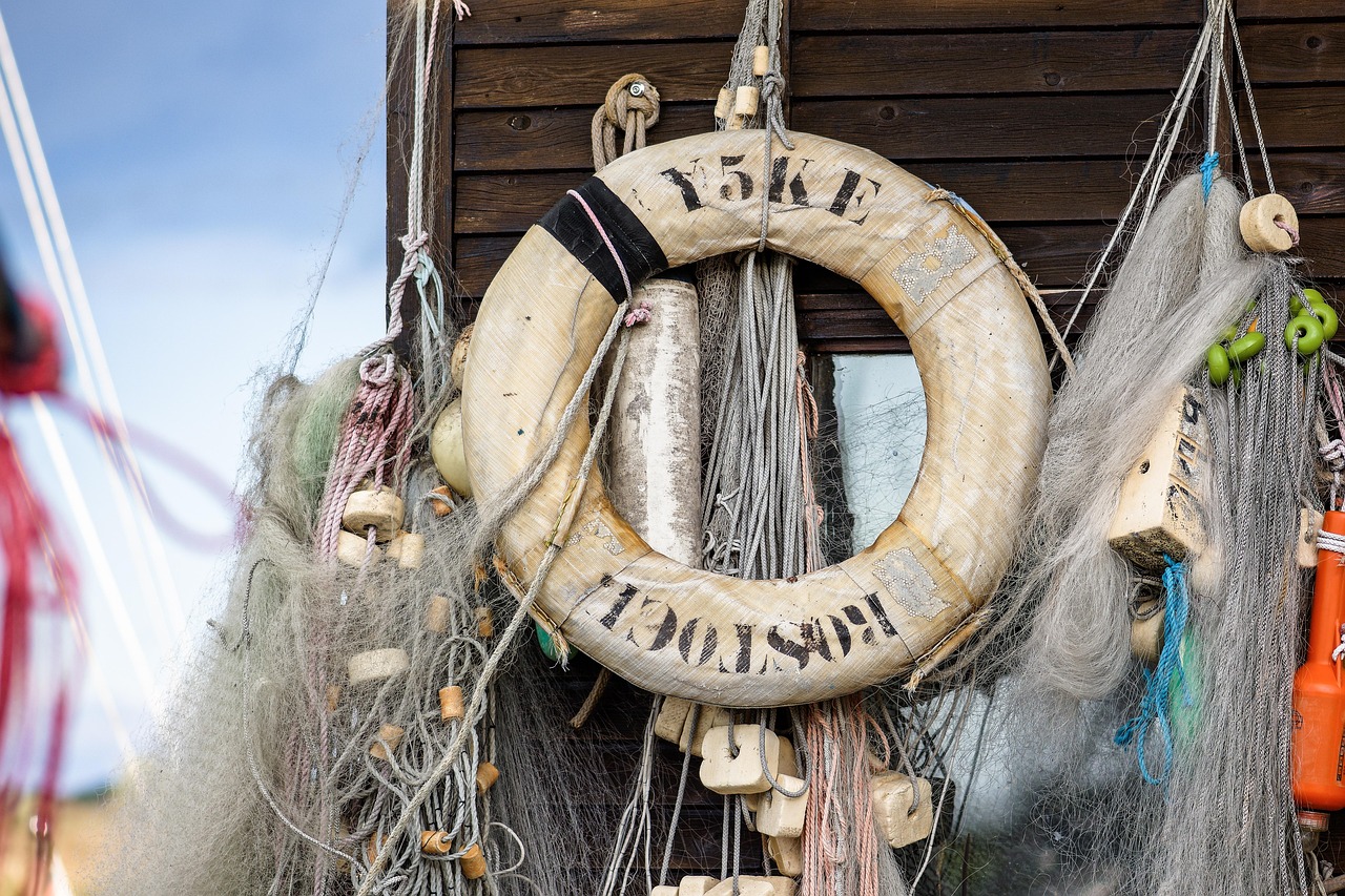 Peel百乐陈皮爆珠（细）：焦作水果玉米种子购买平台