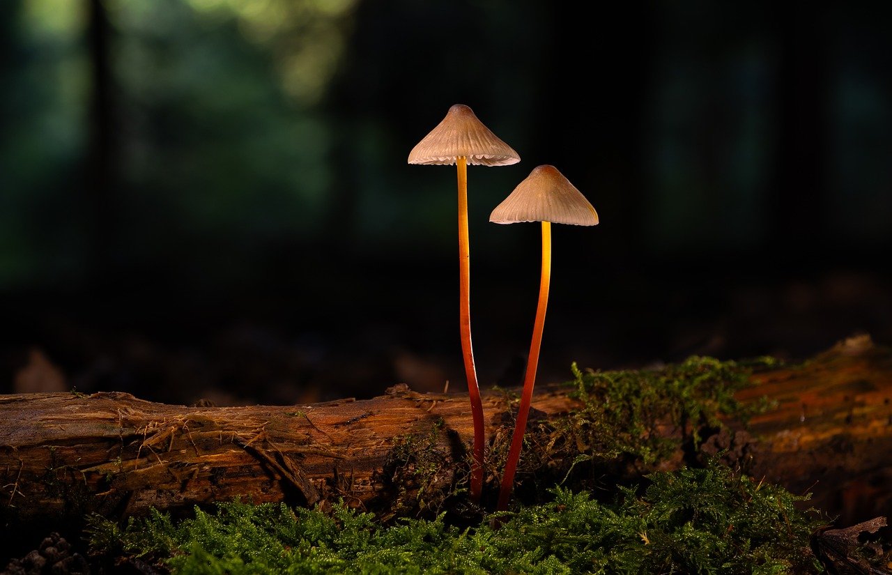 敢达争锋对决:潍坊代理注册注销