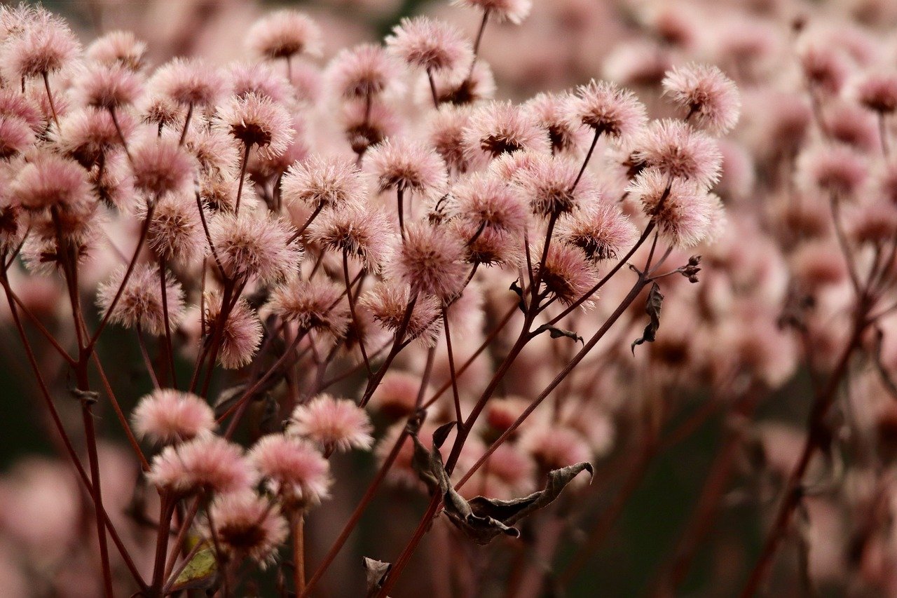 亿速云实名账号：详情下载教程游戏的app有哪些