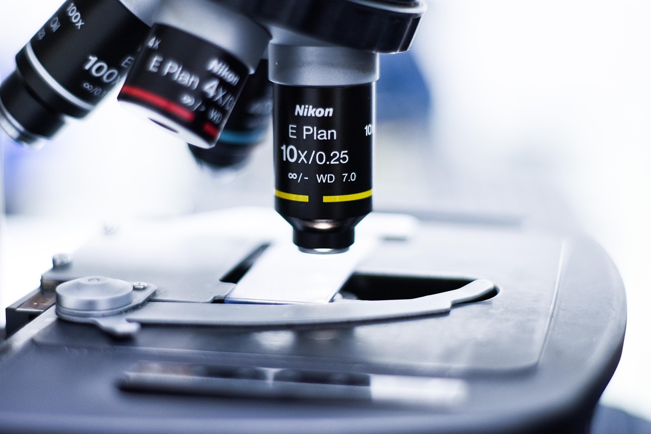 绯红之境：代理机构在其注册