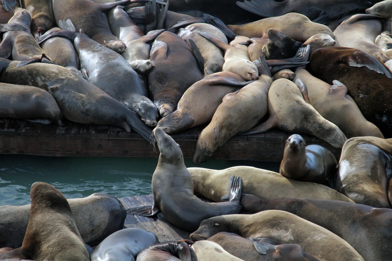 新天龙八部：全民app详情下载教程